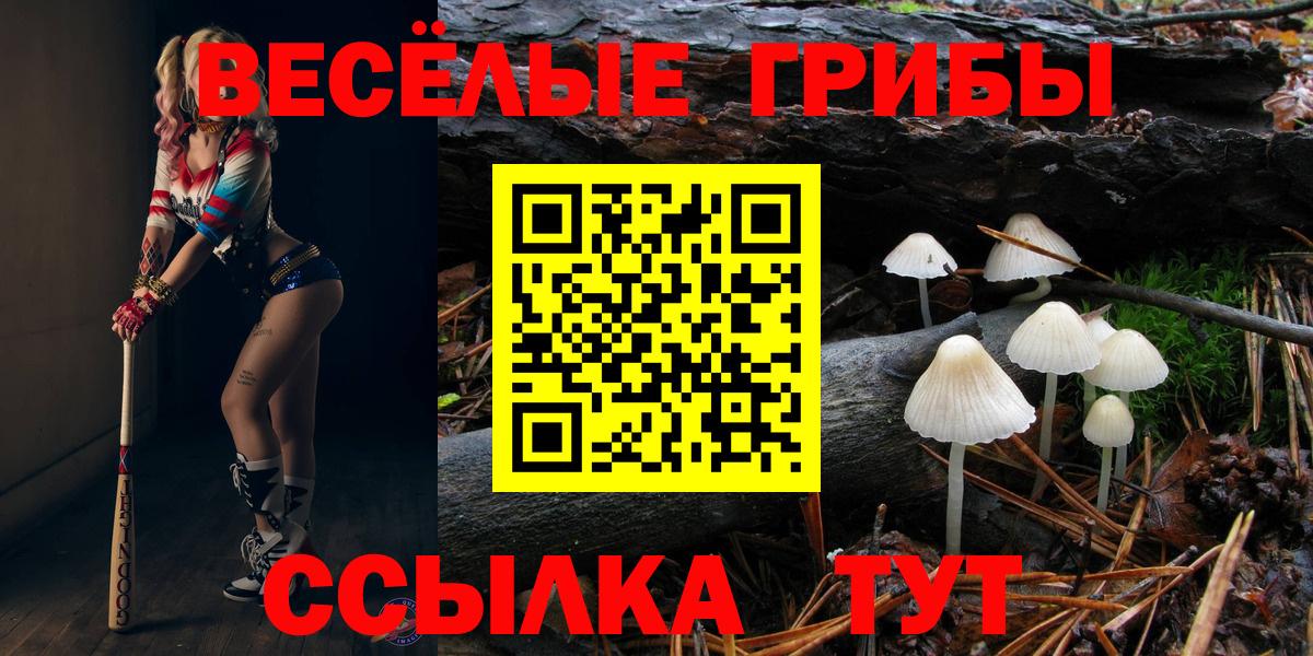 Галлюциногенные грибы Cubensis  Вход с VPN  Качканар 