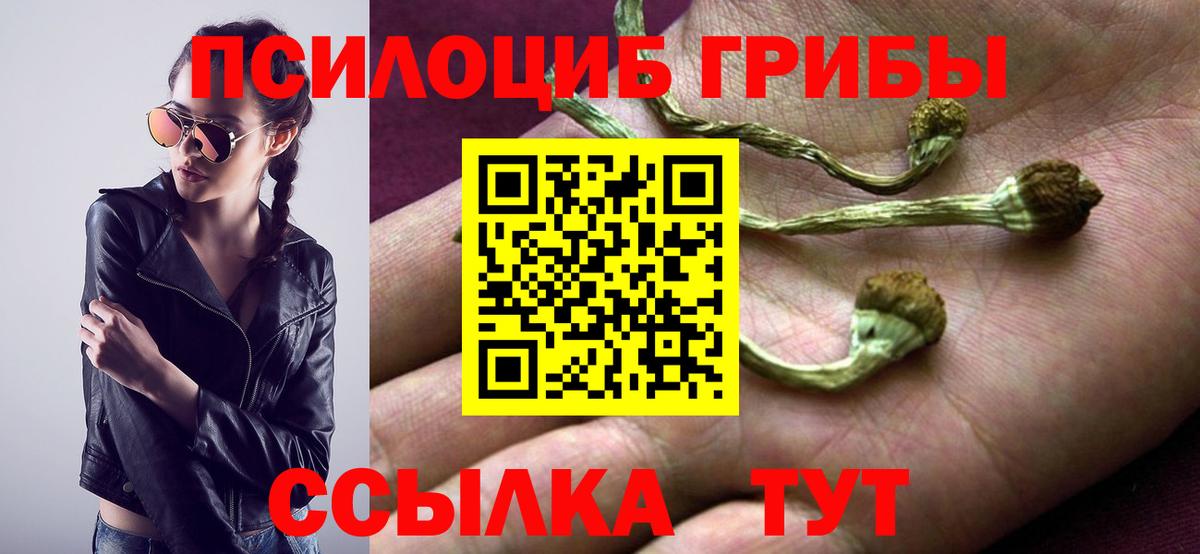 Галлюциногенные грибы мицелий Качканар